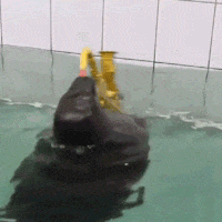 a-seal-of-approval.gif 200x200