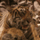 tiger-1.gif 45x45