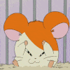 mouse.gif 100x100