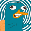 perry.gif 100x100