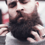 beard.gif 150x150