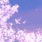 cherry-blossom.gif 150x150