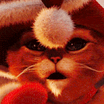 christmas-cat.gif 150x150
