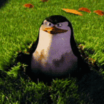 madagascar-penguin.gif 150x150