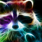 raccoon.gif 150x150