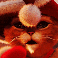 Christmas Cat - Christmas gif avatar
