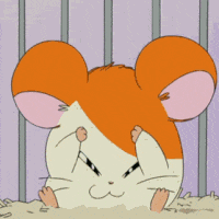 mouse.gif 200x200