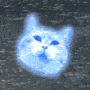 Cat hype! avatar