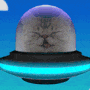 cat ufo avatar