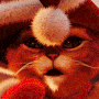 Christmas Cat avatar