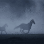 Horse running avatar