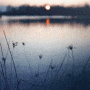 lake avatar