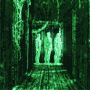 Matrix Effect avatar