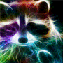 Raccoon avatar