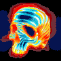 Skull avatar