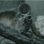 sniper.gif 90x90